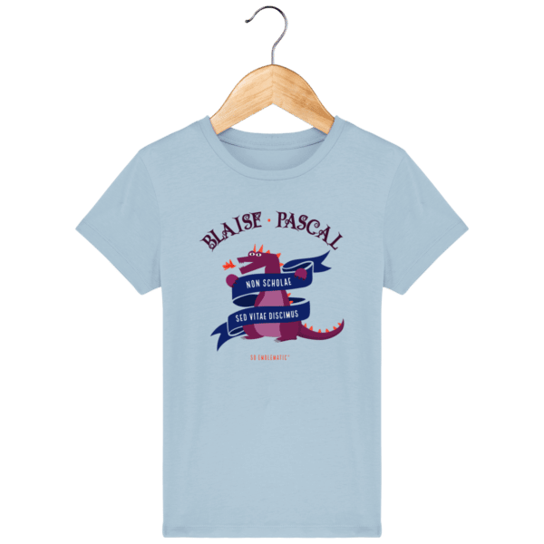 sky-blue_face