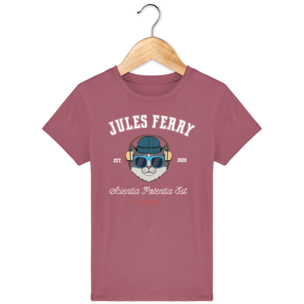hibiscus-rose_face